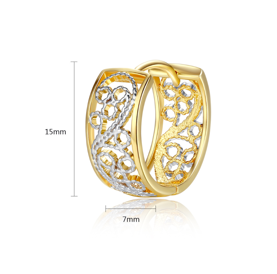 Earrings BBB019