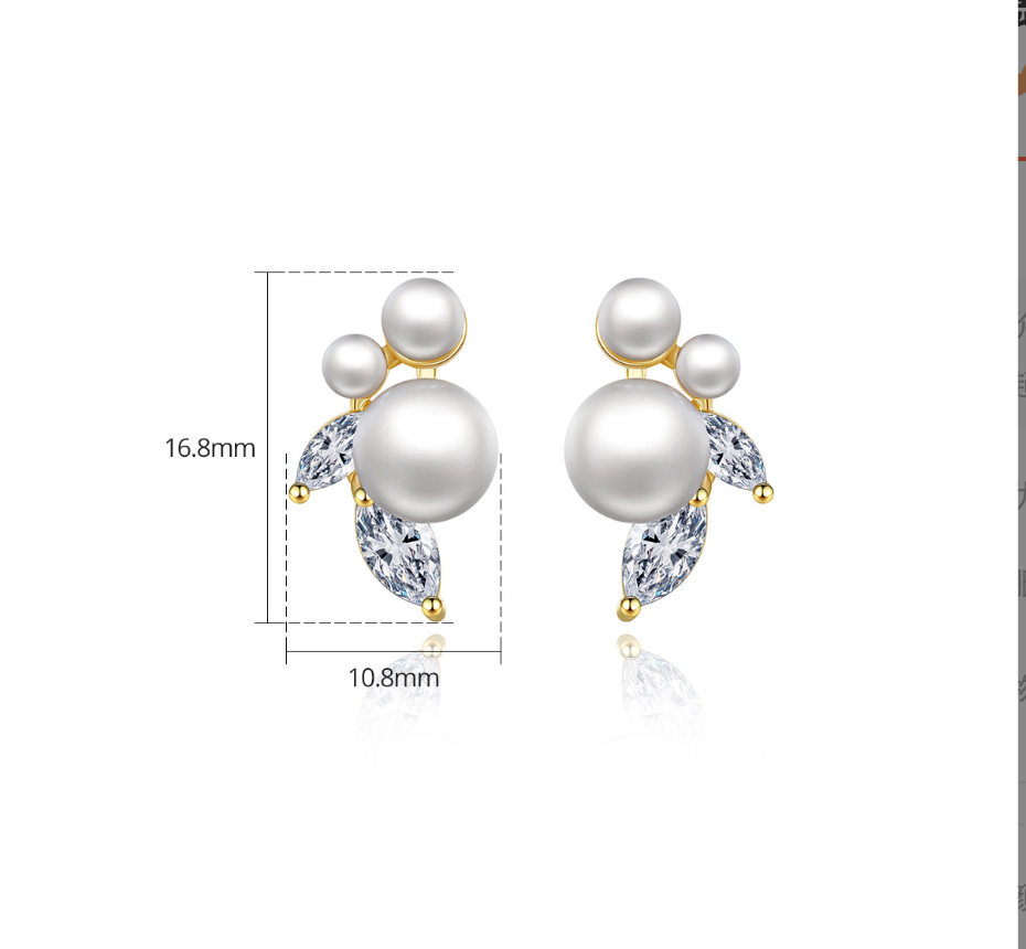 Earrings BBB020