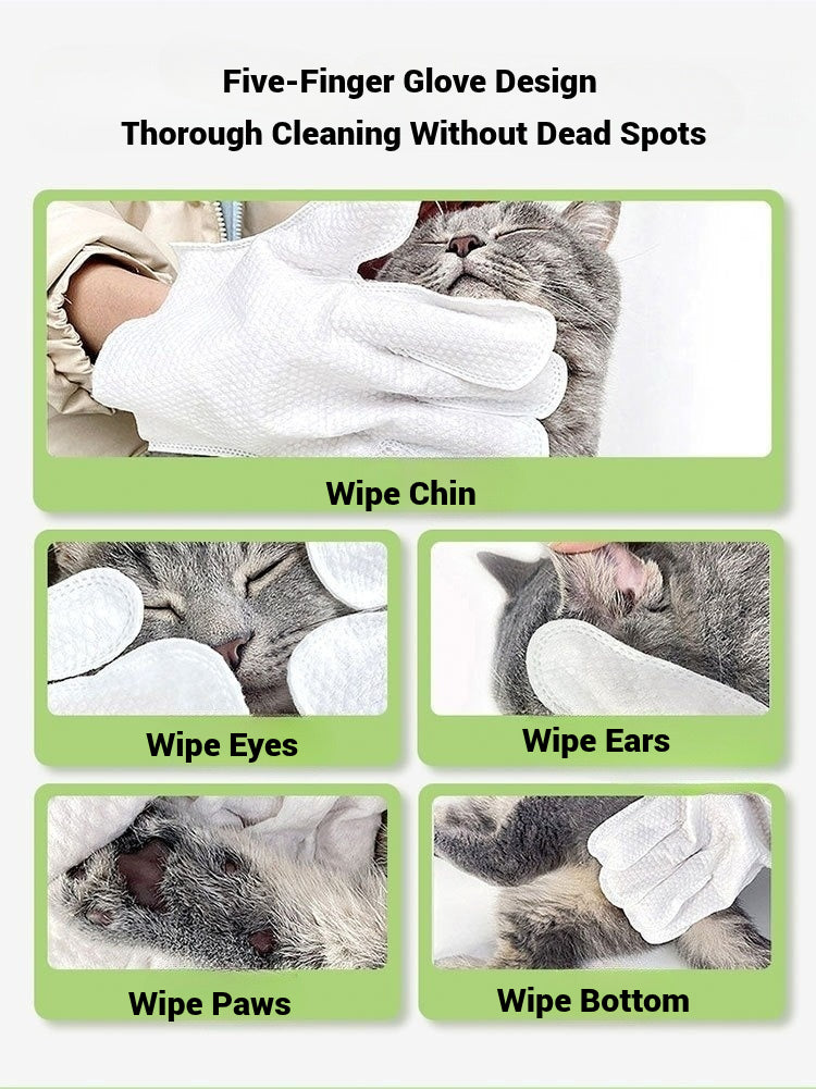 Pet disposable cleaning gloves wipes 6 pcs 1 pkt