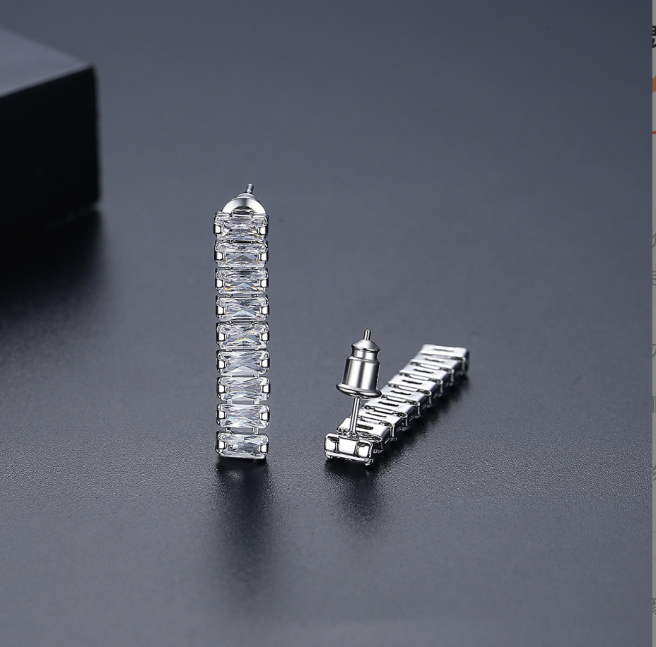 Earrings BBB018