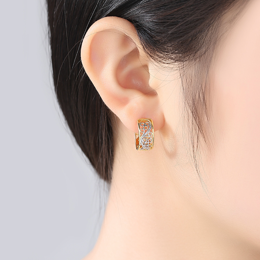 Earrings BBB019