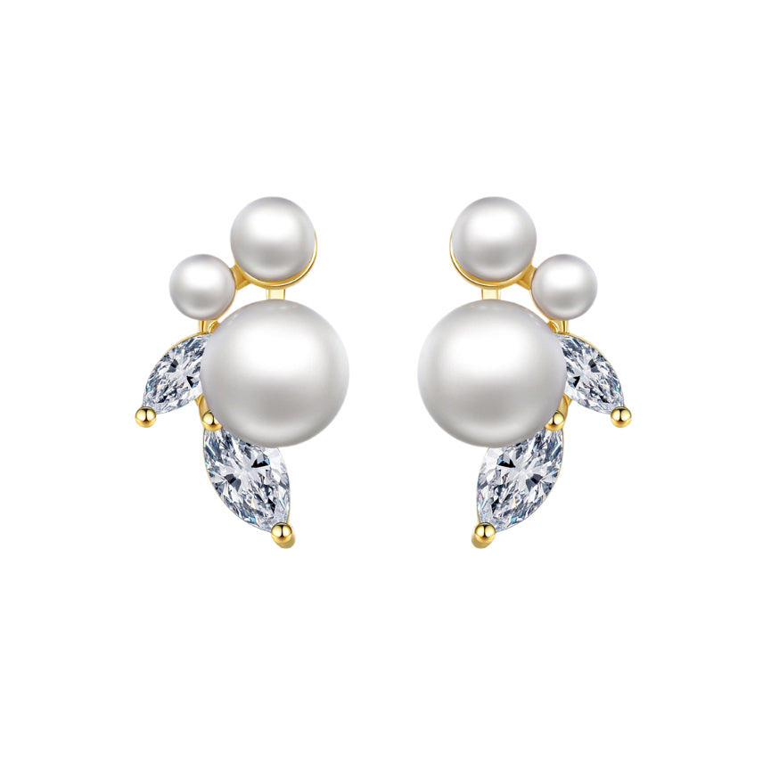 Earrings BBB020
