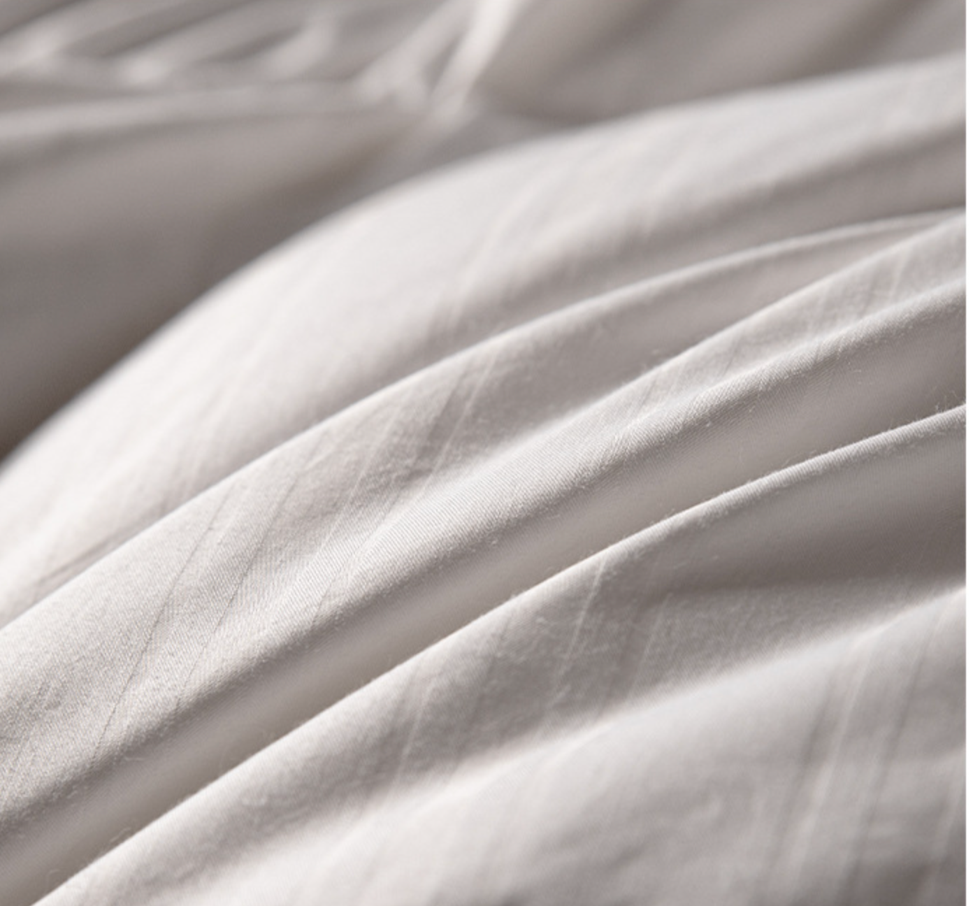 Down Duvet