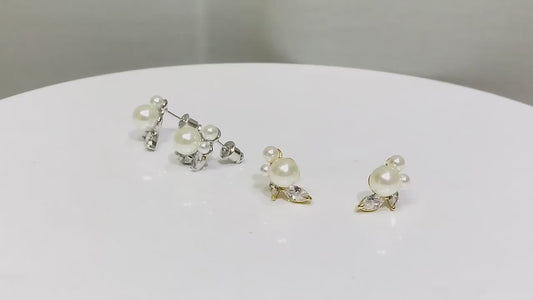 Earrings BBB020